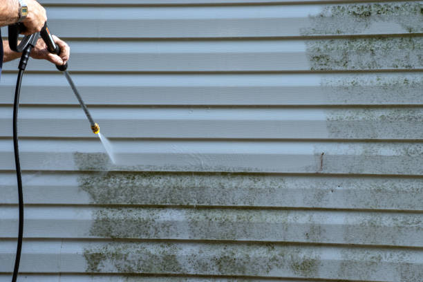 Best Shed Removal  in Makakilo, HI